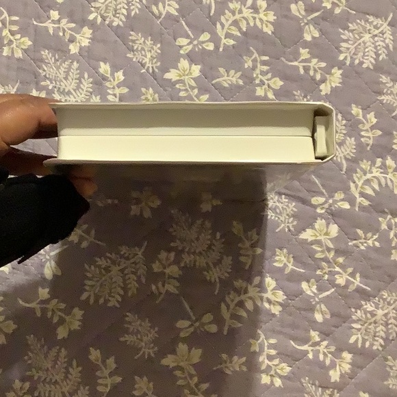 Lady and the Tramp II Scamps Adventure - Picture 11 of 11